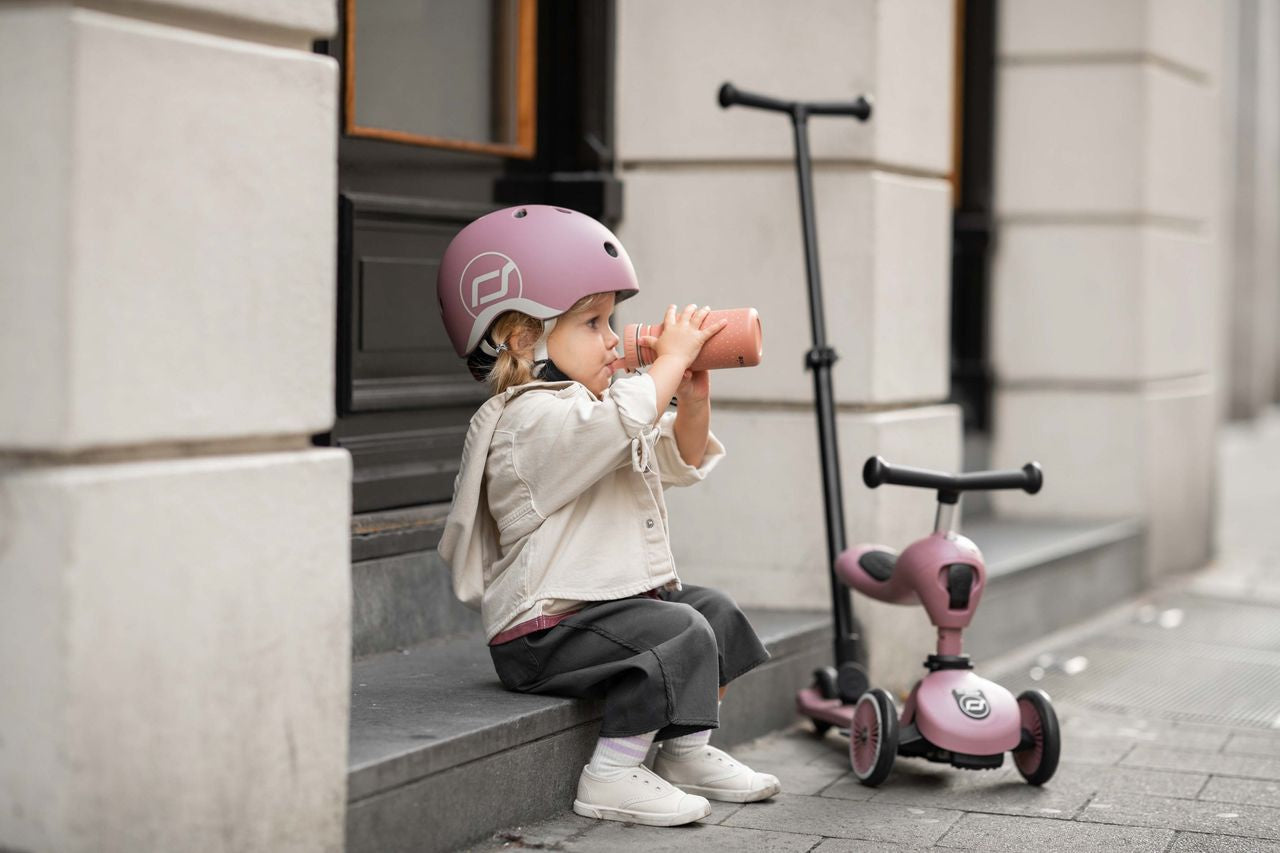 Patinete Push & Go Wilberry- Scoot&Ride