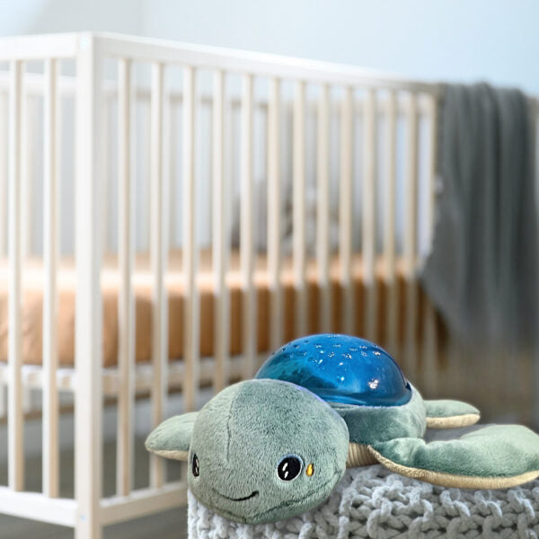 Proyector peluche Tortuga- Pabobo