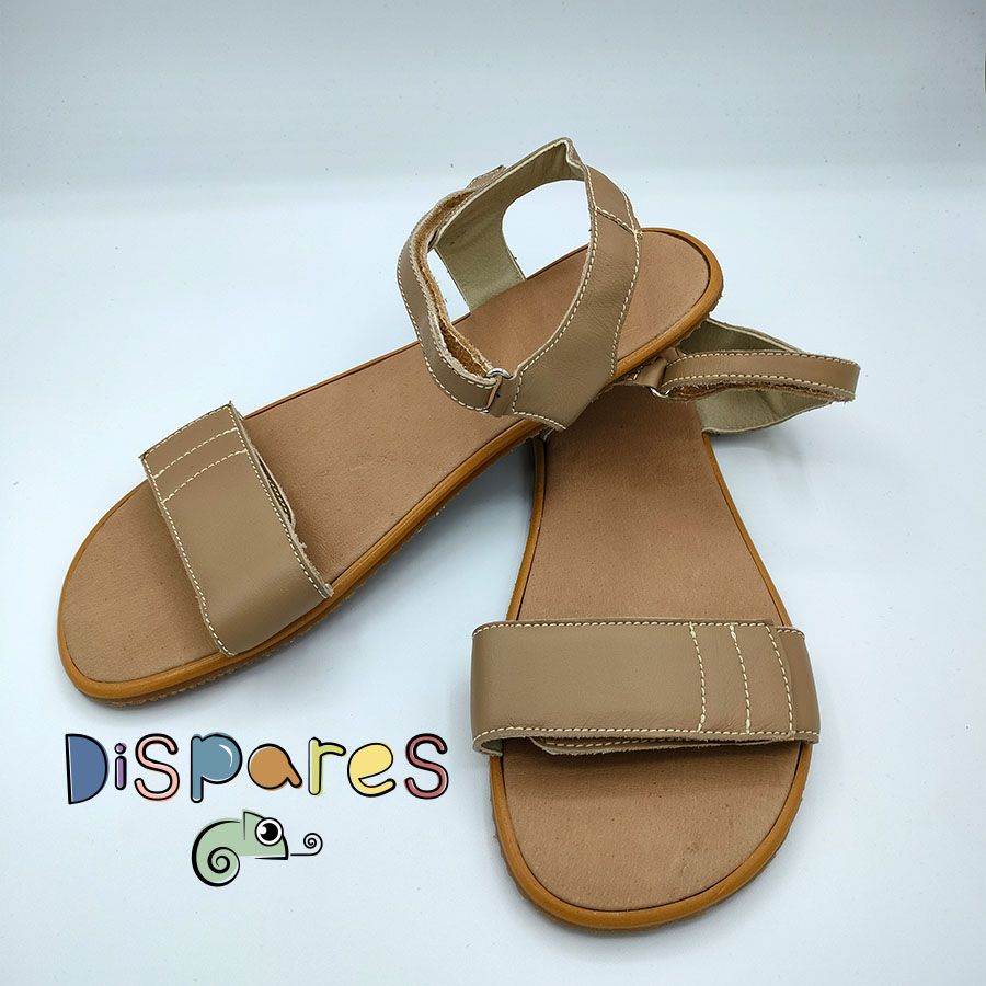 Aurora Arena- Dispares
