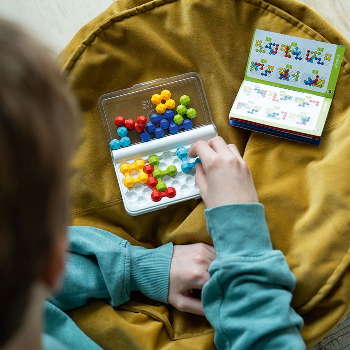 IQ Twins- Smart Games
