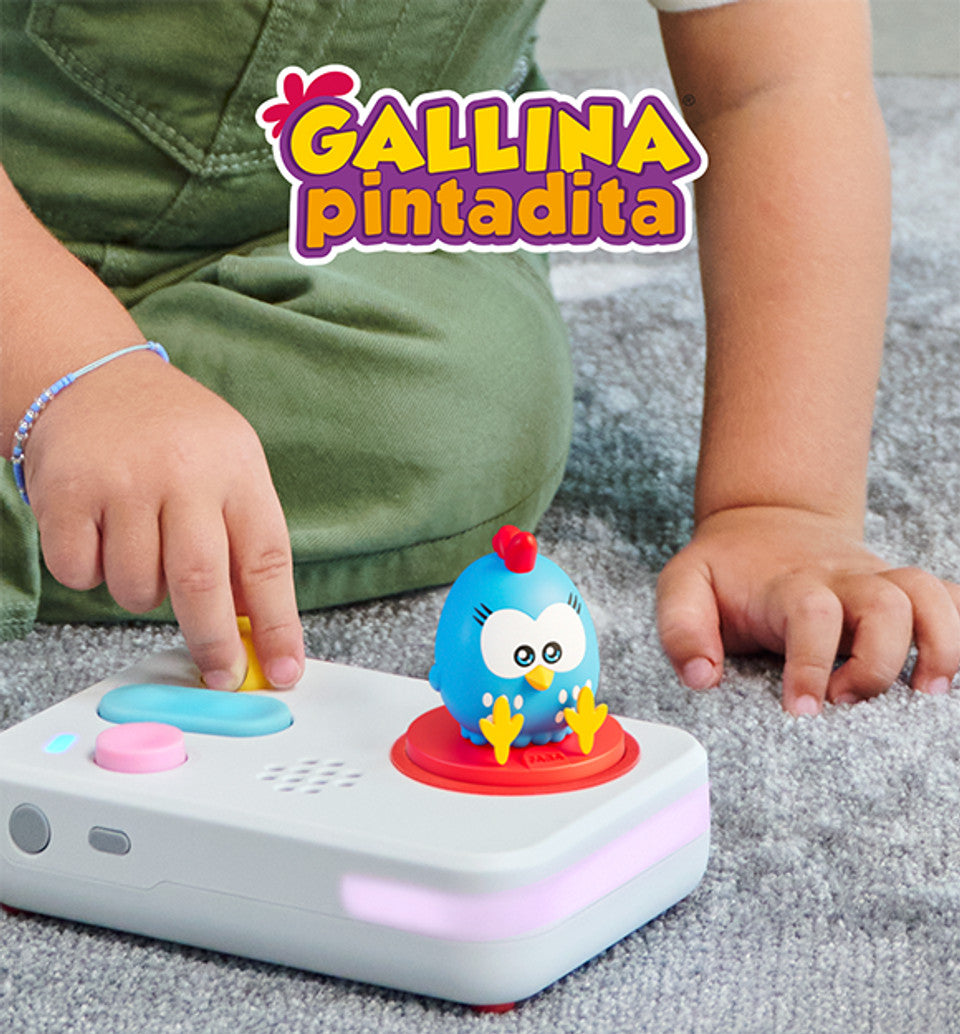 Gallinita pintadita- Faba