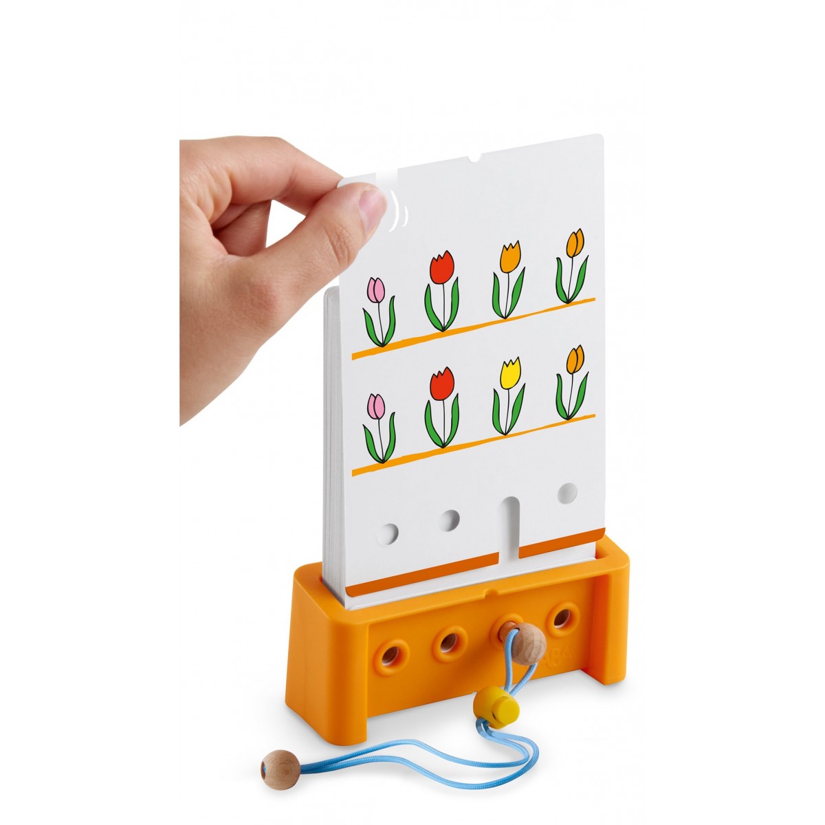 Logic Case Set de Iniciación +4 - Haba