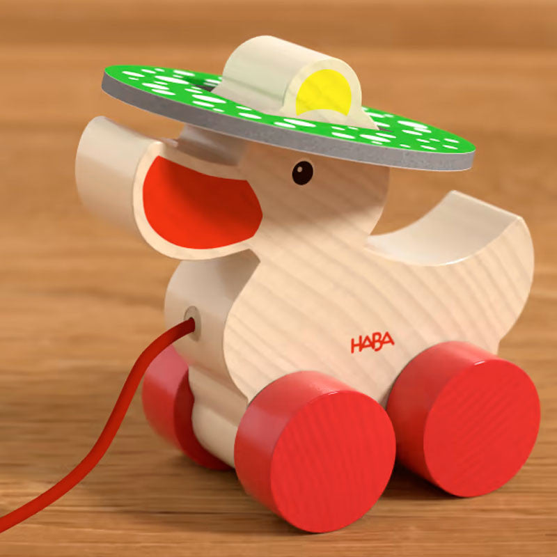 Sombreros de Pato- Haba
