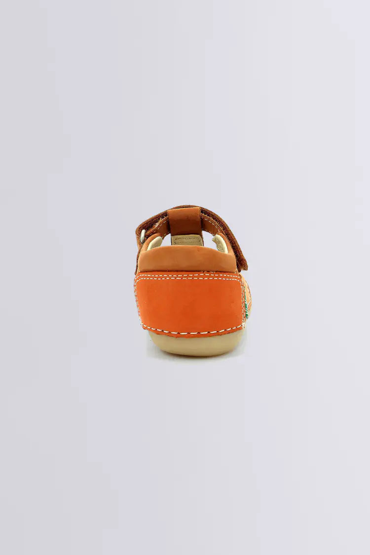 Sushy Camel Orange- Kickers
