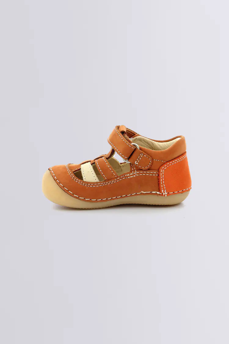 Sushy Camel Orange- Kickers