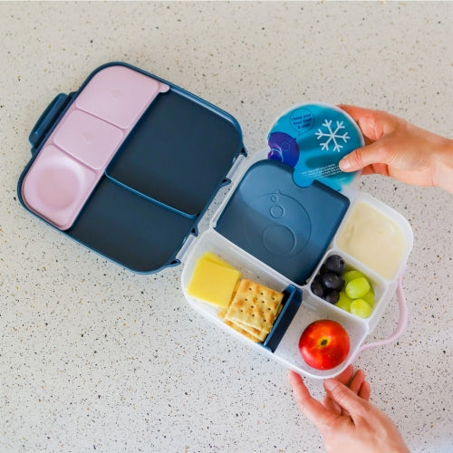 Lunchbox con gel refrigerante Indigo Rose- B.Box