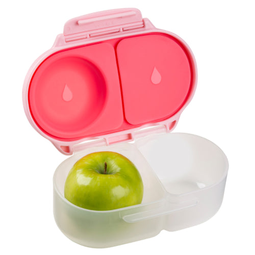 Snackbox Flamingo Fizz- B.Box