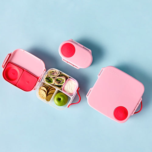 Snackbox Flamingo Fizz- B.Box