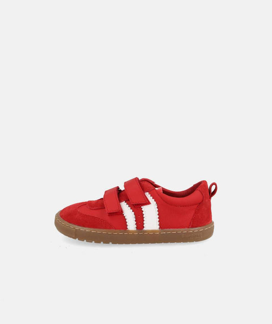 Deportiva Delfin Rojo- Blanditos