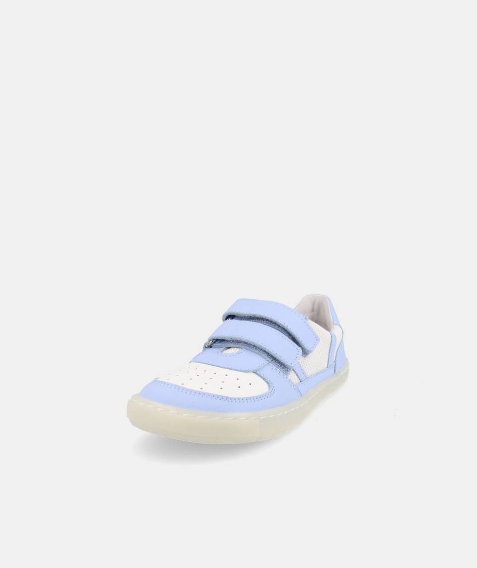 Deportiva Kauai Azul- Blanditos