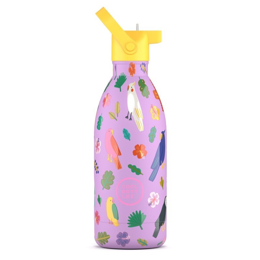 Botella térmica Fly Free 500ml - Cool Bottles