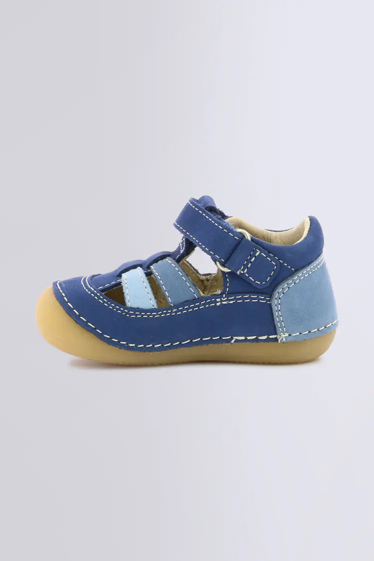 Sushy Azul tricolor - Kickers